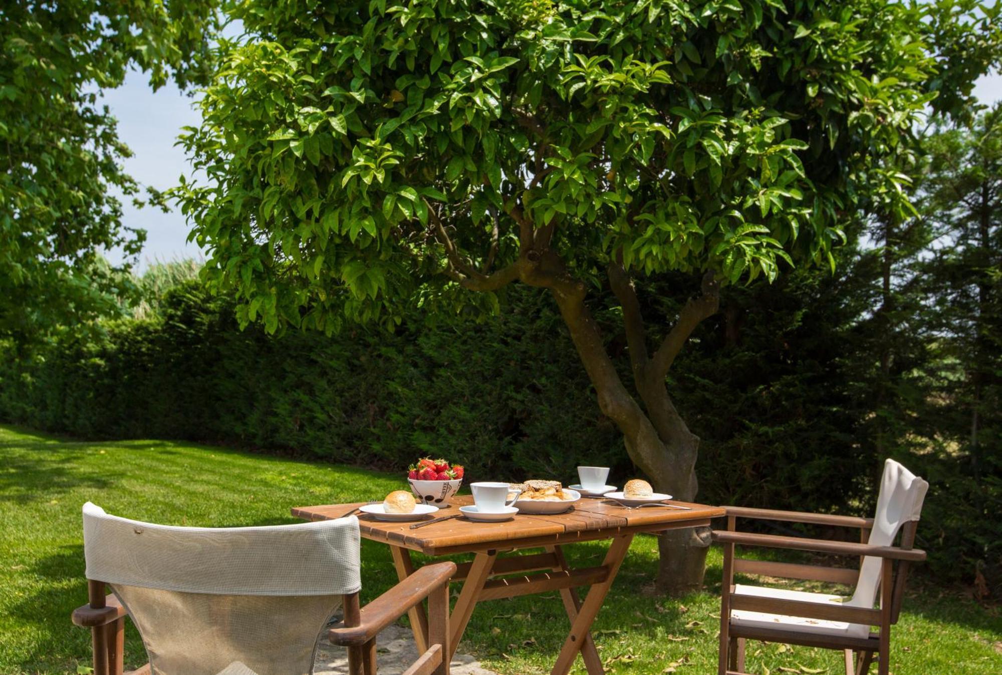 Fragos Garden Studios Kastro-Kyllini Rom bilde